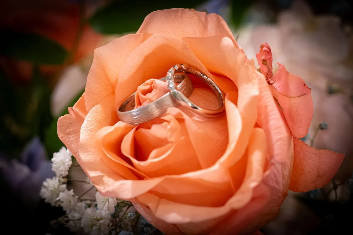 ringbilder-7-2500px-verkleinert.jpg