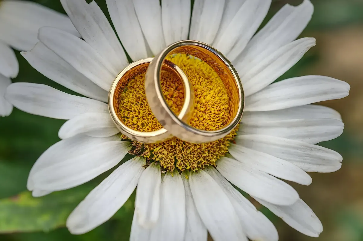 ringbild-fotograf-koenigstein-makroaufnahme-zur-hochzeitsfeier-und-sektempfang-in-der-villa-borgnis.webp